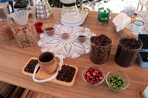 Aromas, sabor, doçura natural e notas de frutas frescas e de chocolate, destacam cafés especiais com projeto Degusta Café 80+