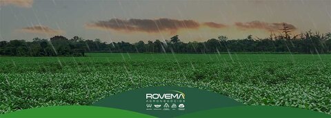 Impactos que a mudança no regime hídrico ocasionou na produção agrícola do Grupo Rovema   