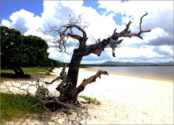 Lago de Caracaranã (Jessé Souza)