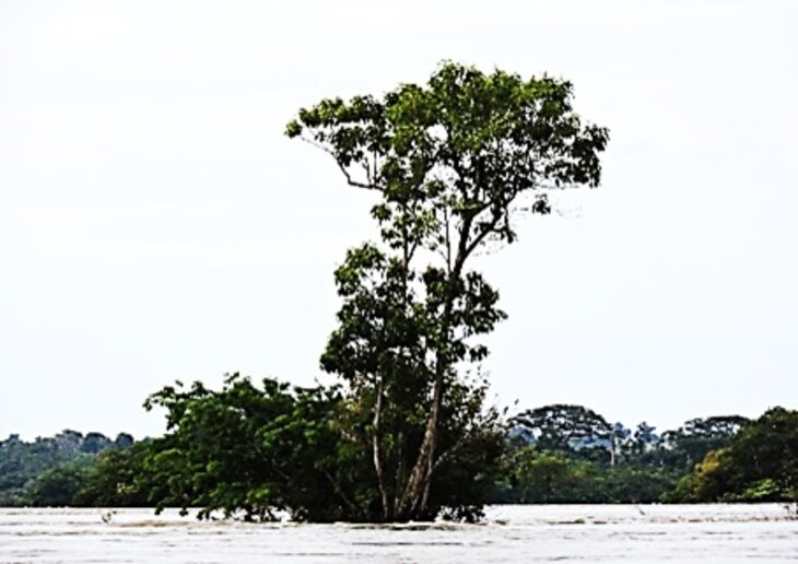 Rio Branco (13.08.2019)