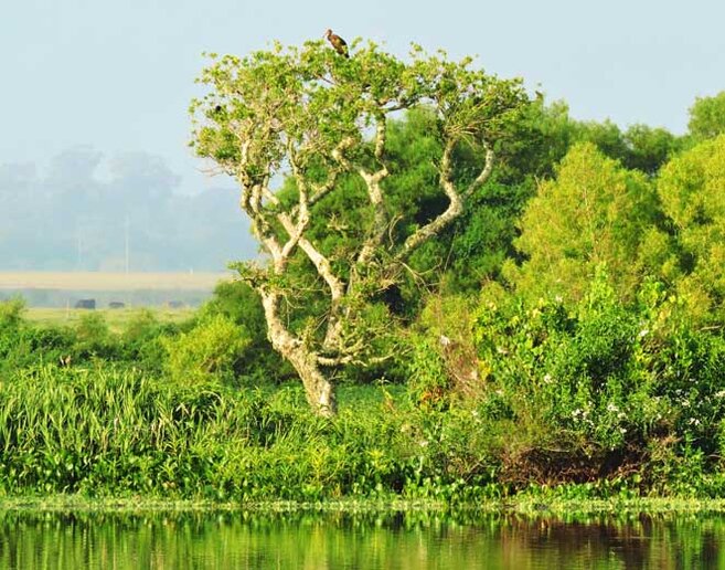 Rio Jaguarão