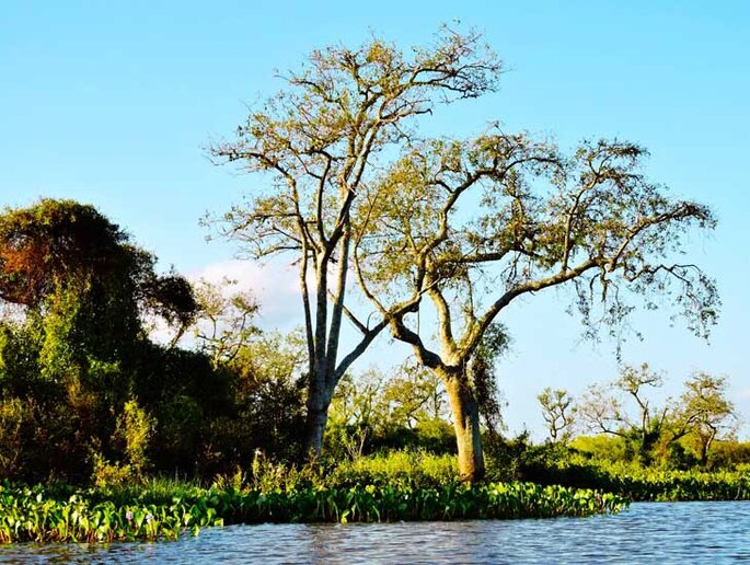 Arroio dos Afogados