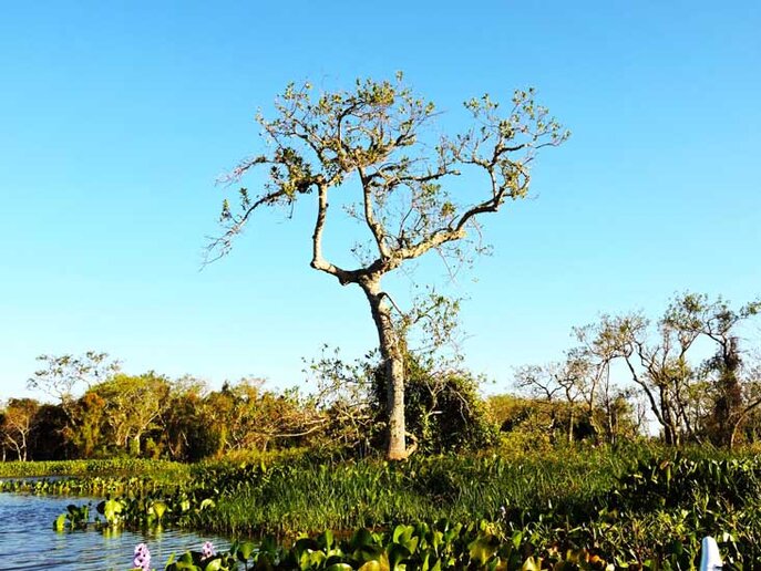 Arroio dos Afogados