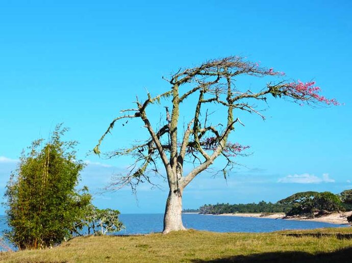 Fazenda Soteia