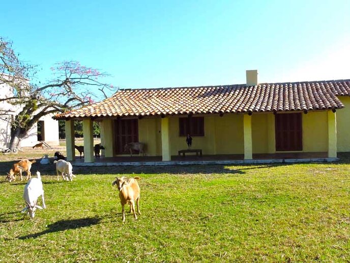 Fazenda Soteia