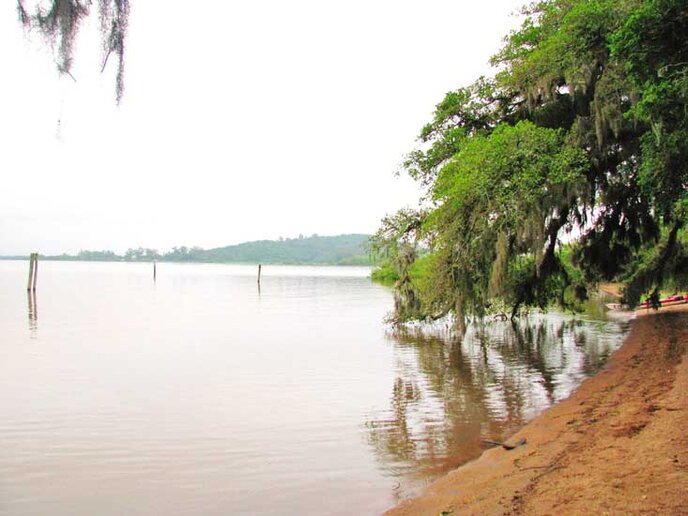 Ilha do Francisco Manoel