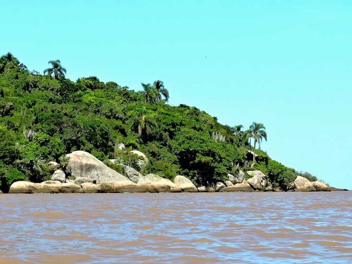 Ilha do Junco