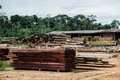 Amazônia ameaçada: Colniza, um retrato do desmatamento em Mato Grosso