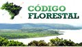 Anúncio do governo sobre Código Florestal divide entidades ambientalistas