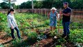 Moradores da Vila Nova Teotônio transformam quintais em hortas 