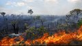 Focos de calor continuam a crescer em Rondônia