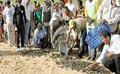 Projeto de manejo de quelônios do Vale do Guaporé recebe premiação em São Paulo