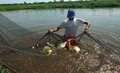 Inpa tem 15 vagas para mestrado em aquicultura, só até amanhã