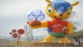 Mascote da Copa, tatu-bola poderá ser extinto em 50 anos