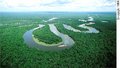 Perspectivas econômicas de uso da floresta amazônica 