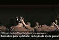 ANDI -  Subsídios para o debate: redução da idade penal