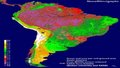 Região amazônica não se recuperou da seca de 2010