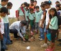 MEIO AMBIENTE PRECISA ESTAR NO CURRÍCULO E NA GESTÃO DA ESCOLA