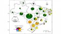 Pesquisadores criam método para calcular impactos de mudanças de uso da terra no Brasil