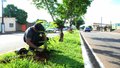 Mais de seis mil mudas já foram plantadas nas ruas PVH