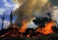 Seca prolongada e cultura do fogo são causas do aumento em mais de 100% dos focos de calor em Rondônia