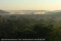 Amazônia, a maior fonte gratuita de água doce