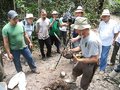 Manejo agroflorestal, a prática em ascensão