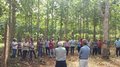 Dia de Campo sobre Floresta Plantada é realizado com sucesso