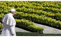 Domingo de Páscoa: 35 mil flores holandesas decoram a Praça São Pedro