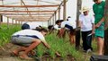 Revolução silenciosa põe Rondônia contra o êxodo rural