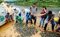 Sedam participa da soltura de quelônios 