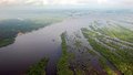 Os Andes explicam a riqueza de vida na Amazônia