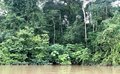 Terra Legal repassa quase 1 milhão de hectares para preservação ambiental na Amazônia