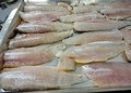 Tempero de peixe dura seis meses