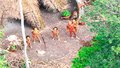 Survival divulga novas fotos de índios isolados na Amazônia