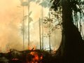 Corpo de Bombeiros alerta sobre focos de queimadas; em Rondônia já foram registrados mais de 1.200 neste ano