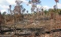 Tragédia amazônica prejudica América do Sul