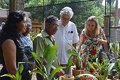 Novo viveiro de orquídeas e bromélias enriquece o Museu da Amazônia