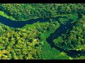 Os riscos do plantio de soja no Pantanal 