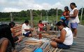 Gurupá adota pesca sustentável do camarão