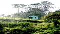 MPF/RO recomenda suspensão de mineração no Parque Nacional Mapinguari