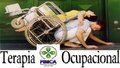 Curso de Terapia Ocupacional