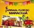 Flor do Maracujá  Quadrilha e Boi Bumbá começa hoje