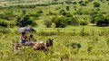 Zona rural esvazia-se cada vez mais