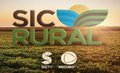 Confira os destaques do SIC RURAL deste domingo na Sic TV Record