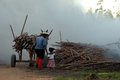 Campanha marca o Dia Mundial de Combate ao Trabalho Infantil