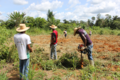 Agricultores familiares de Rondônia receberão apoio para regularização ambiental