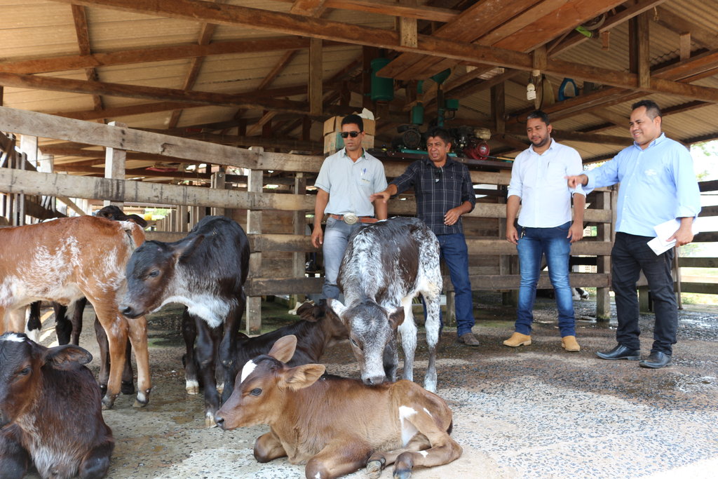 Unindo forças para o campo - Gente de Opinião