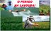 ESTAMOS COMENDO VENENO? O EXAGERO E OS PERIGOS  DOS AGROTÓXICOS TAMBÉM CHEGARAM A RONDÔNIA - ROCHA E A FÓRMULA DA COCA COLA