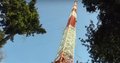 Pesquisadores usam torre na Amazônia para investigar relação da floresta com o clima global